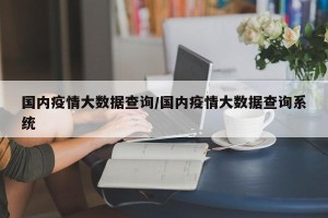 国内疫情大数据查询/国内疫情大数据查询系统